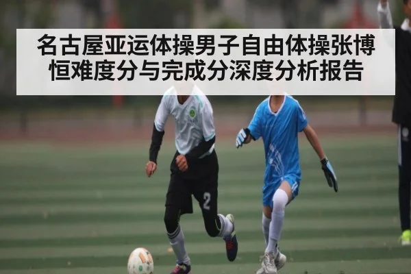名古屋亚运体操男子自由体操张博恒难度分与完成分深度分析报告 | leisu