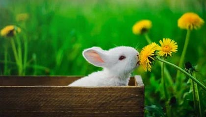 李昂：大连是我小时候就向往的地方，希望再次证明自己